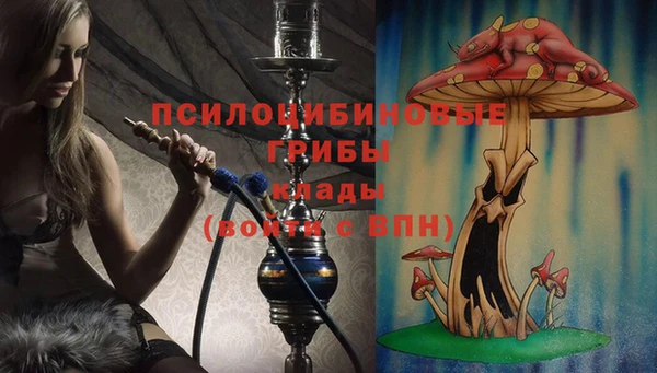МДМА Мегион