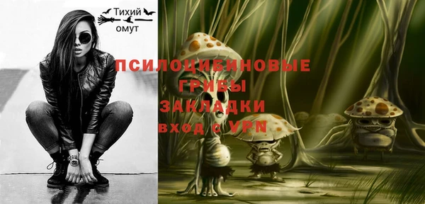 ECSTASY Ветлуга