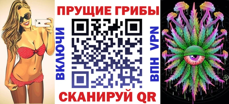 ОМГ ОМГ онион  Иннополис  Псилоцибиновые грибы Psilocybe  где найти наркотики 